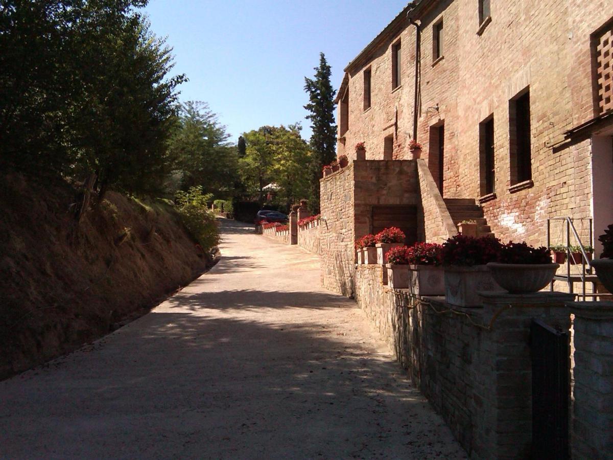 Agriturismo S. Eurosia Montalcino Eksteriør billede
