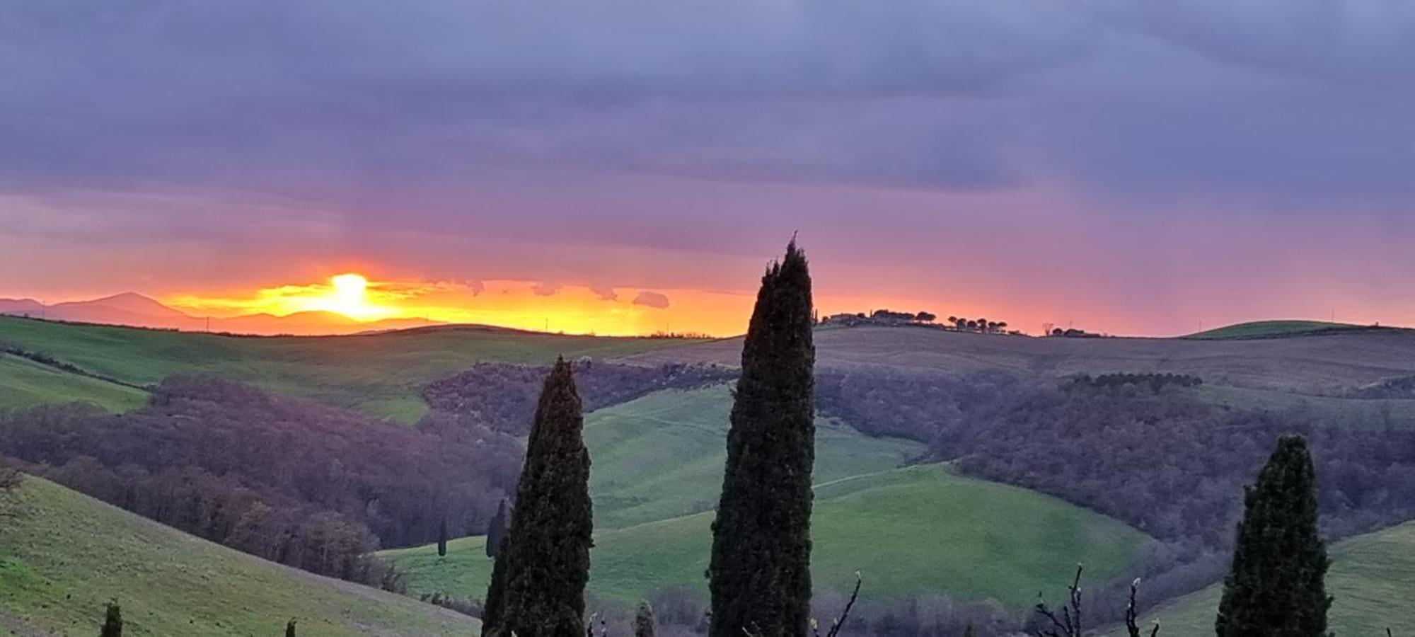 Agriturismo S. Eurosia Montalcino Værelse billede