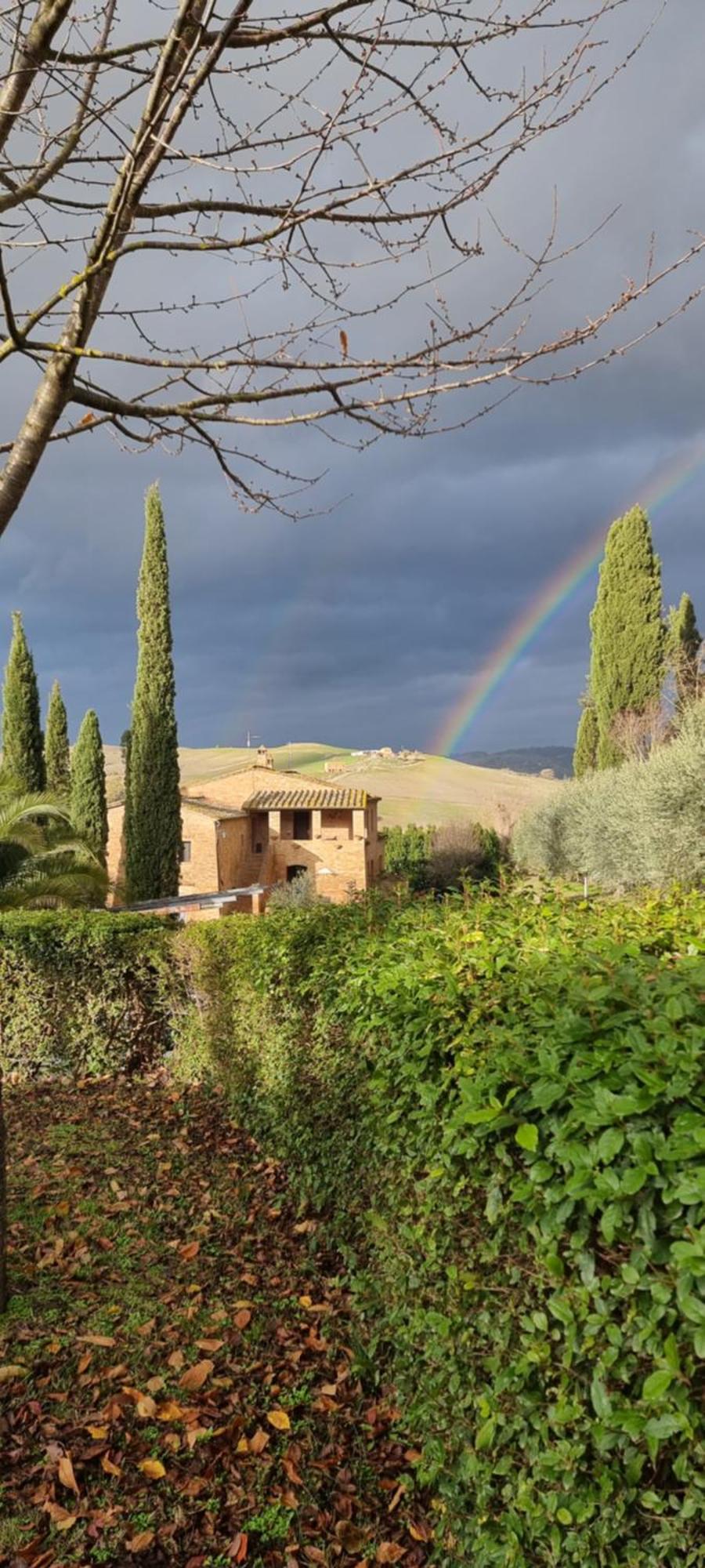 Agriturismo S. Eurosia Montalcino Værelse billede